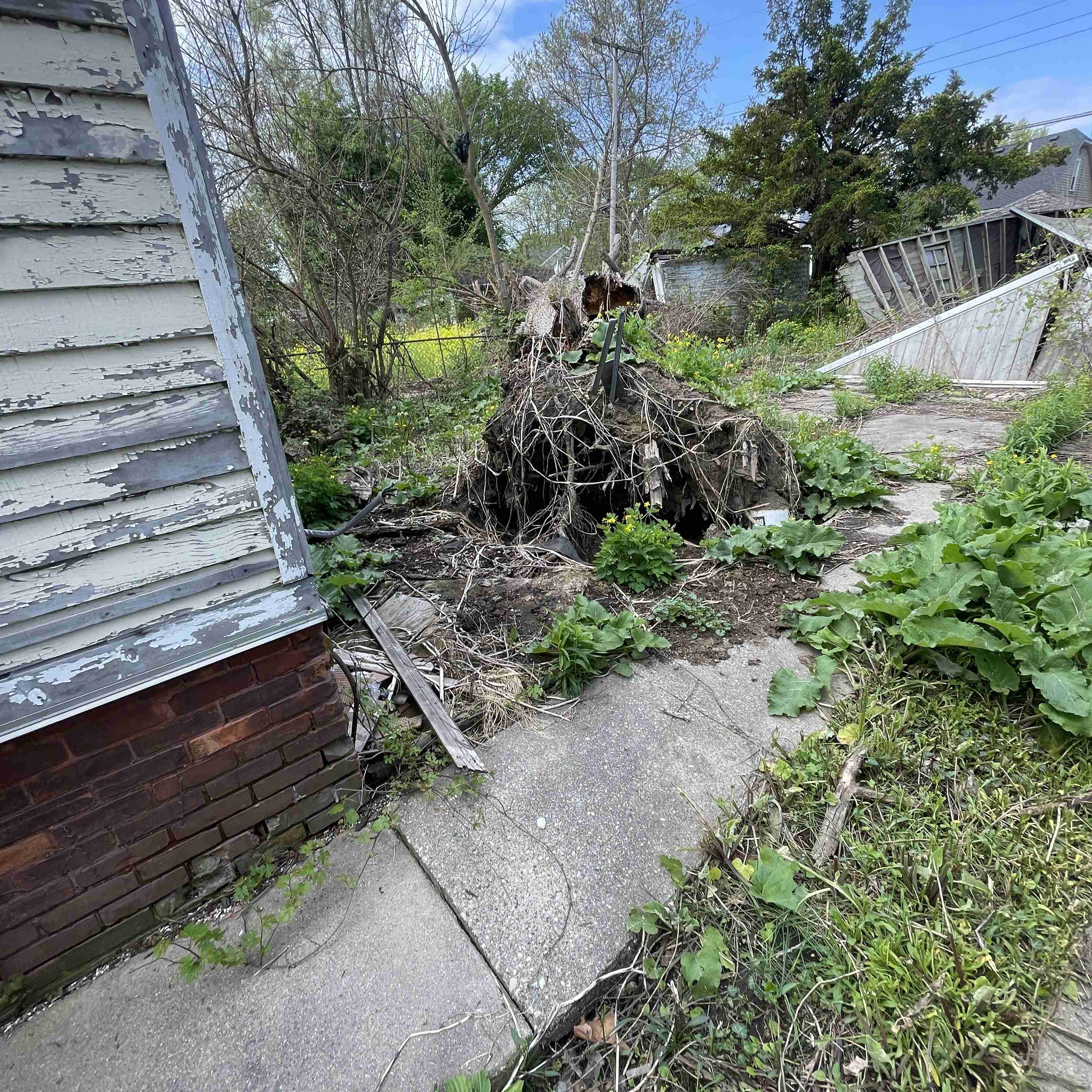 18653 Westphalia (18).jpg